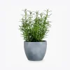 product-image-5_optimized